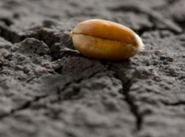  Sve će privući k sebi