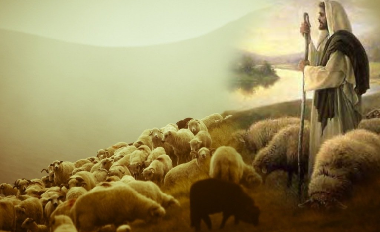Nedjelja Dobrog Pastira – četvrta vazmena nedjelja