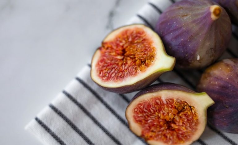 Treća korizmena nedjelja (C), 2025.