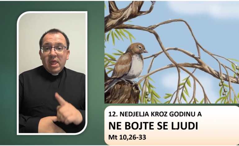 Prilagođeno Evanđelje12. nedjelje kroz godinu A