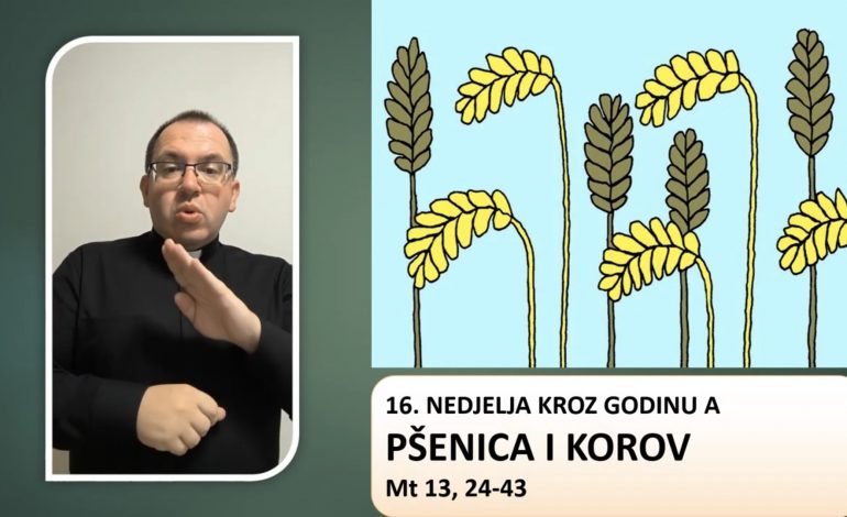 Prilagođeno Evanđelje 16. nedjelje kroz godinu A